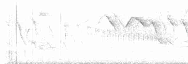 tyran savanový (ssp. savana) - ML608998242