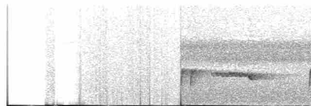 Luzonschneidervogel - ML609001432