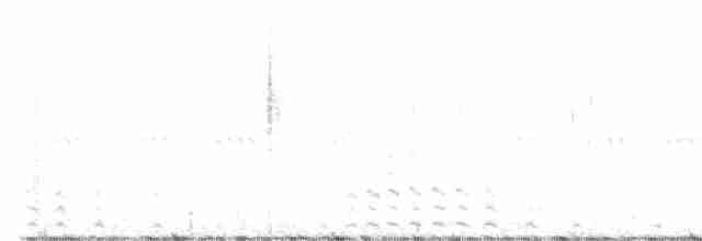 Texasnachtschwalbe - ML609002469
