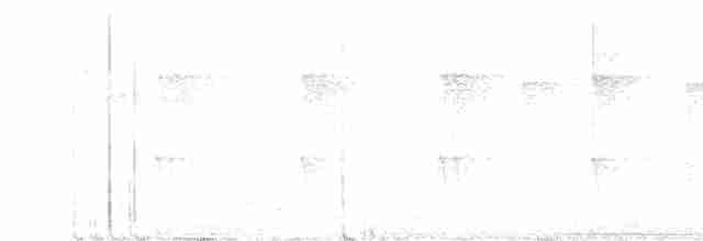 White-eared Sibia - ML609004653