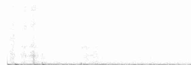 Сова-голконіг гігантська - ML609004895