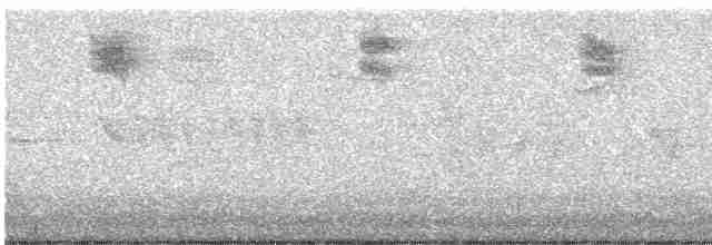 Spotted Flycatcher - ML609007404