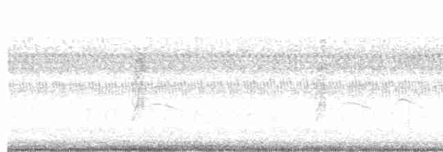 Paruline à gorge grise - ML609009846