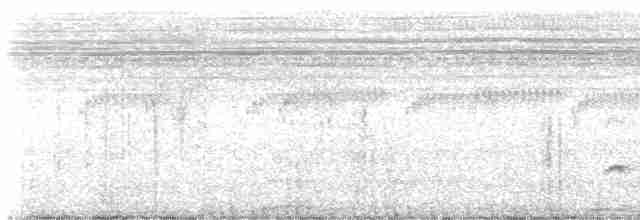 Tüpfelkronen-Ameisenvogel - ML609030241