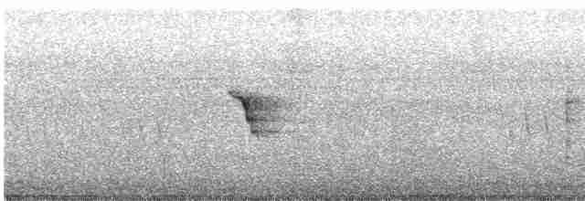 passerine sp. - ML609045735