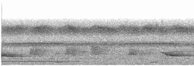 Зозуля-довгохвіст оливкова - ML609053119