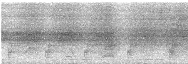 Turuncu Göğüslü Trogon [dulitensis grubu] - ML609053122