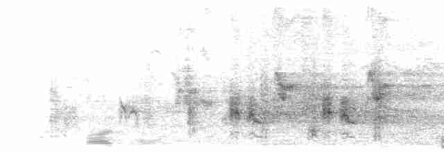 Clamorous Reed Warbler (Brown) - ML609053363