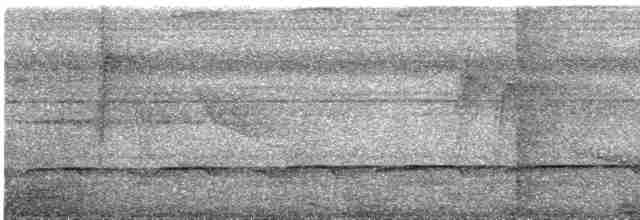 Кустарниковая кукушка (sepulcralis/everetti) - ML609053538