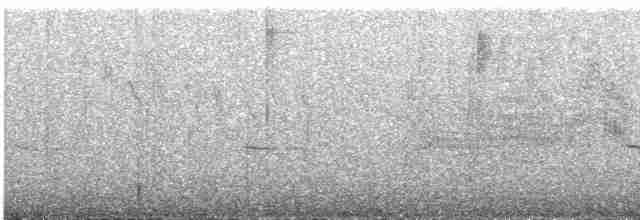 Колібрі-плямохвіст андійський - ML609055025