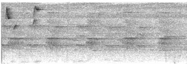Пембская нектарница - ML609055417