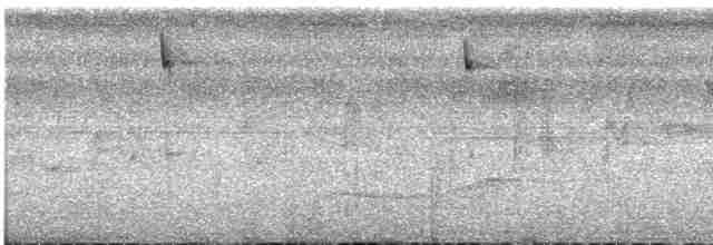Пембская нектарница - ML609055433
