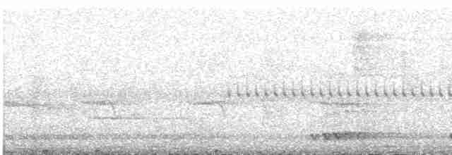 Turuncu Alınlı Barbet - ML609055495