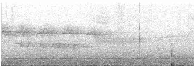 Яванская лесная куропатка - ML609055685