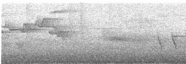 Яванская лесная куропатка - ML609055687
