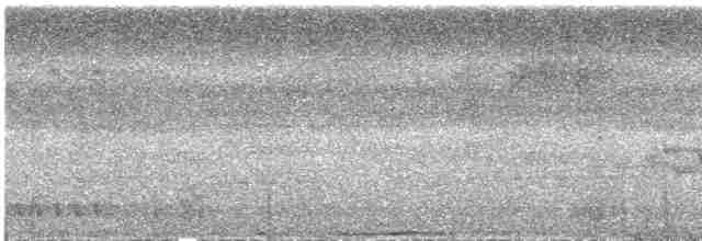 Пінон яванський (підвид lacernulata) - ML609055940