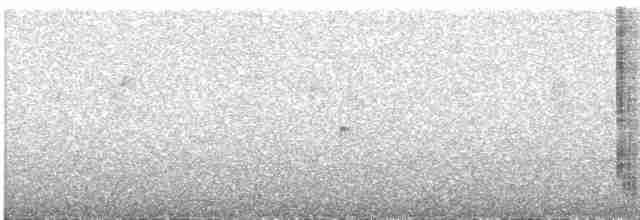 Костариканский колибри-герцог - ML609056133