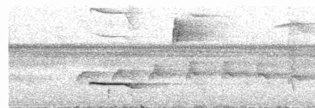 Пестрогрудый зимородок - ML609056586