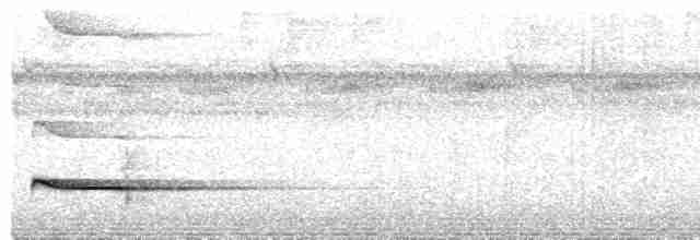 Пестрогрудый зимородок - ML609056587