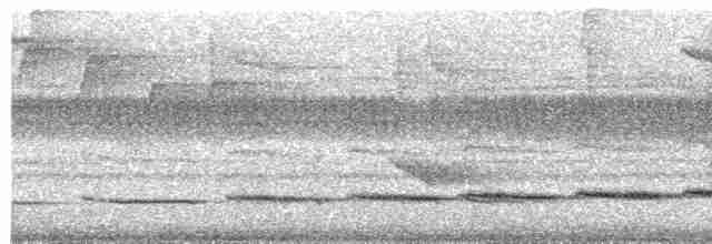 Филиппинская дронговая кукушка - ML609056936