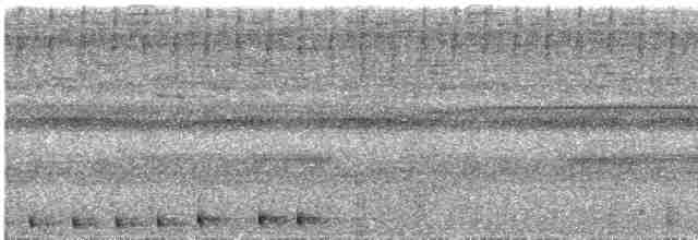 Сулуанская иглоногая сова - ML609057025