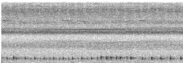 Сулуанская иглоногая сова - ML609057026