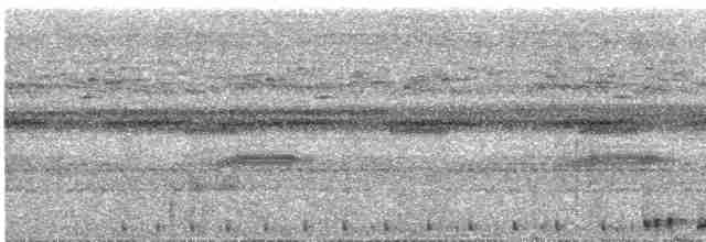 Сулуанская иглоногая сова - ML609057031