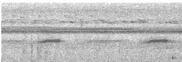 Сулуанская иглоногая сова - ML609057032