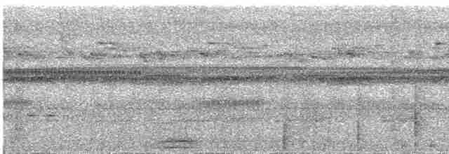 Сулуанская иглоногая сова - ML609057034