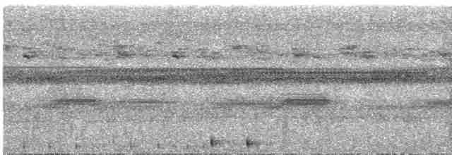 Nínox de las Sulu - ML609057035