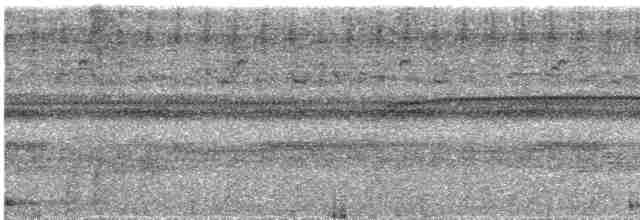 Сулуанская иглоногая сова - ML609057038