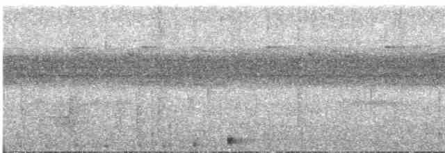 Сулуанская иглоногая сова - ML609057042