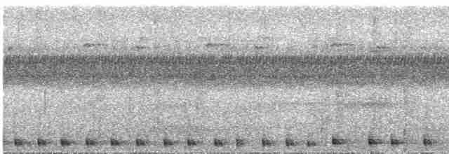 Сулуанская иглоногая сова - ML609057043
