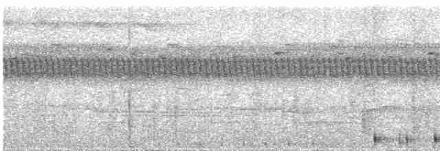 Сулуанская иглоногая сова - ML609057044