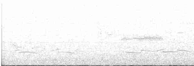Whimbrel (Hudsonian) - ML609057056