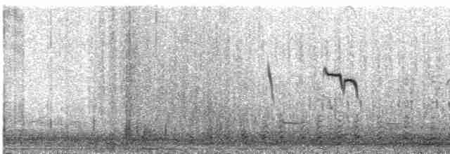 Sharp-tailed Grouse - ML609057155