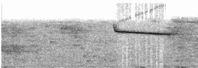 Вилохвістка білочуба (підвид frontalis/chaseni) - ML609057818
