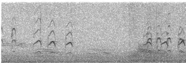 Eurasian Kestrel (Eurasian) - ML609057824