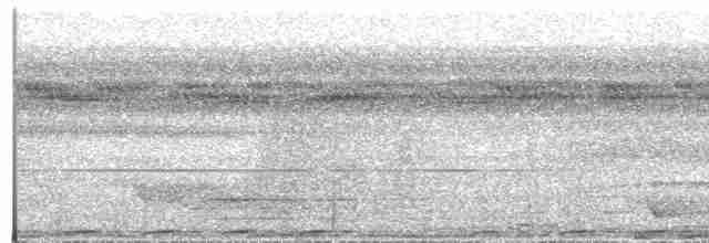 holub černobronzový - ML609057864