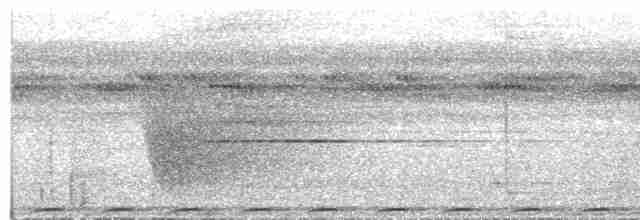 holub černobronzový - ML609057865