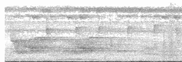 Віялохвістка плямистовола - ML609058004
