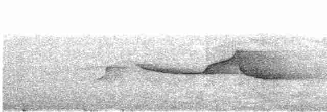 Aberrant Bush Warbler (Sunda) - ML609058073
