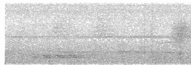 Turuncu Göğüslü Trogon [dulitensis grubu] - ML609058087
