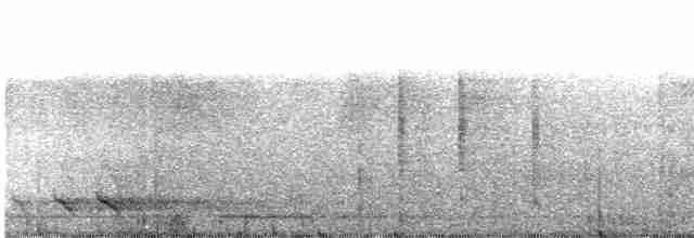 Turuncu Göğüslü Trogon [dulitensis grubu] - ML609058089