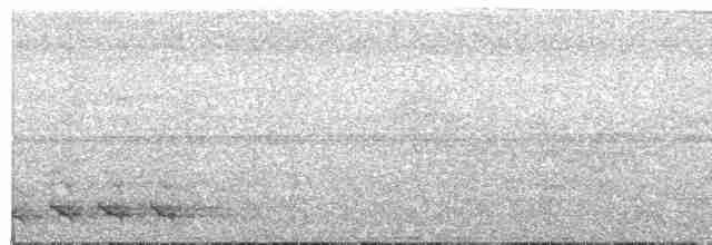 Turuncu Göğüslü Trogon [dulitensis grubu] - ML609058090