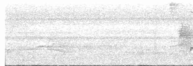 Eurylaime de Gould - ML609058135