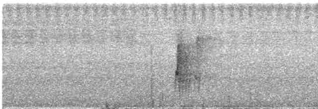  - Gray-throated Bulbul