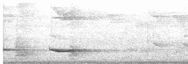 Пестрогрудый зимородок - ML609058389
