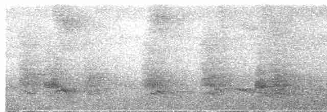 Пестрогрудый зимородок - ML609058393