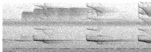Пестрогрудый зимородок - ML609058394